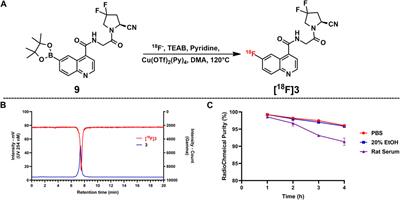 Synthesis, radiolabeling, and evaluation of a (4-quinolinoyl)glycyl-2-cyanopyrrolidine analogue for fibroblast activation protein (FAP) PET imaging